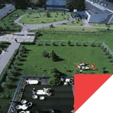 Study abroad with WSB