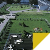 Study abroad with WSB